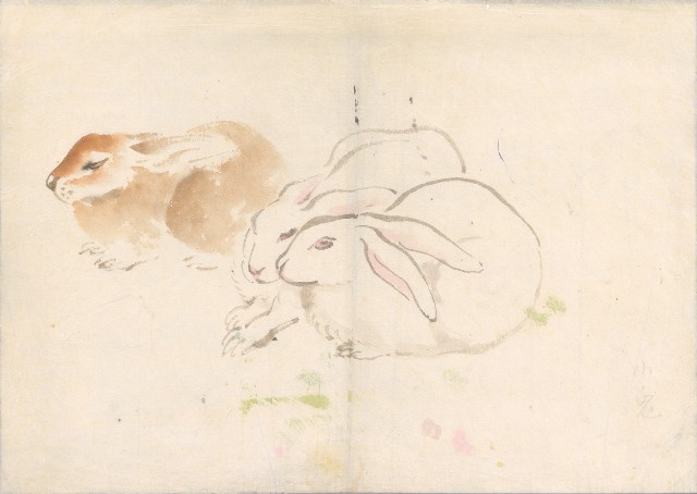 藏品:兔(三隻)的(1)張圖片