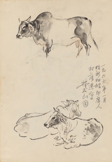藏品:(1)椰子蟹;(2)牛的(2)張圖片