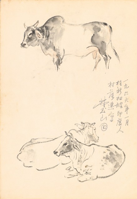 藏品:(1)椰子蟹;(2)牛的(2)張圖片