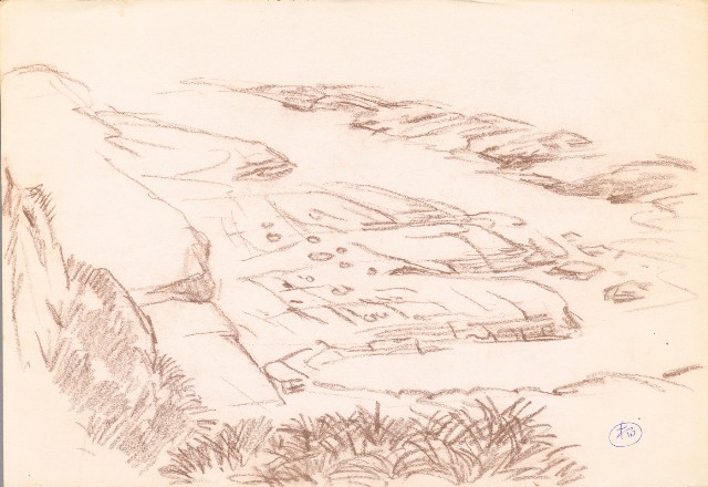 藏品:海岸岩石的(1)張圖片