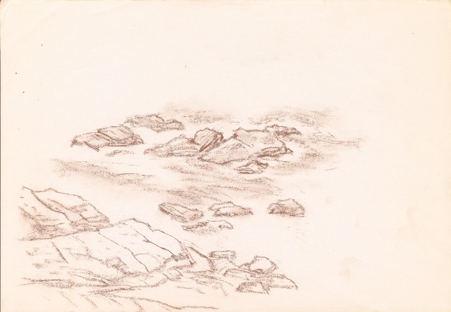 藏品:海岸岩石的(1)張圖片