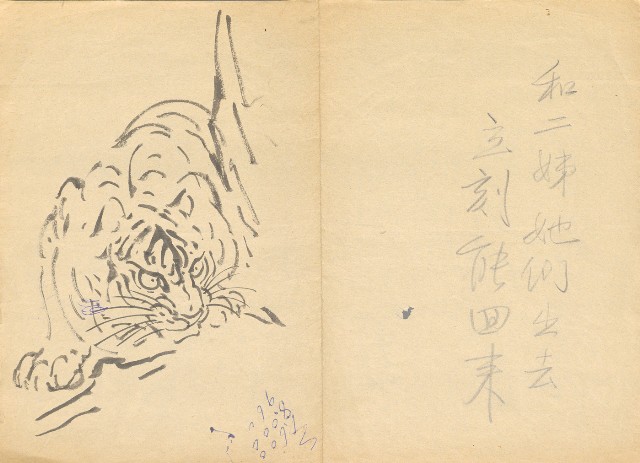 藏品:虎的(1)張圖片
