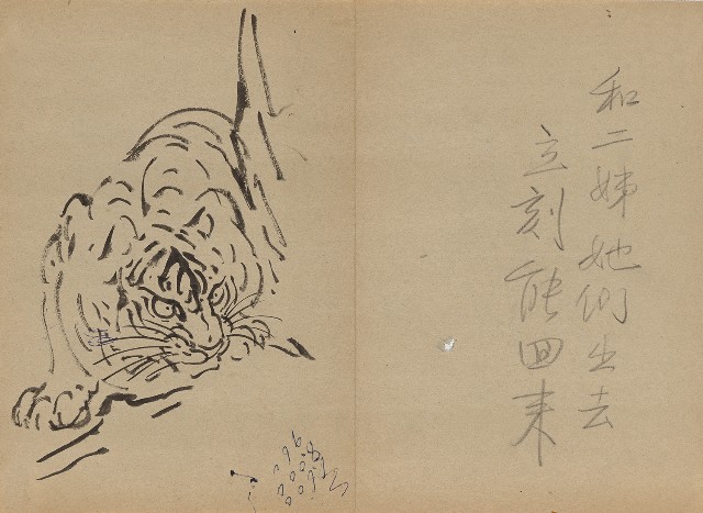 藏品:虎的(1)張圖片