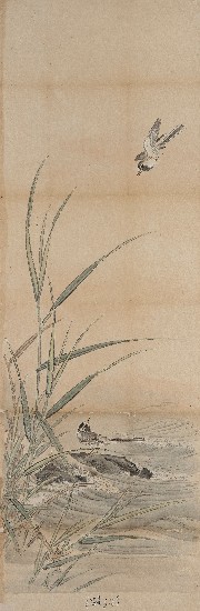 藏品:蘆葦鶺鴒圖的(1)張圖片