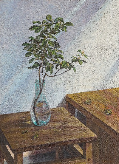 藏品:秋光金桂的(1)張圖片