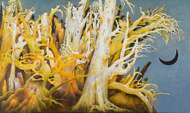 藏品:有幽靈穿梭的枯樹林的(1)張圖片