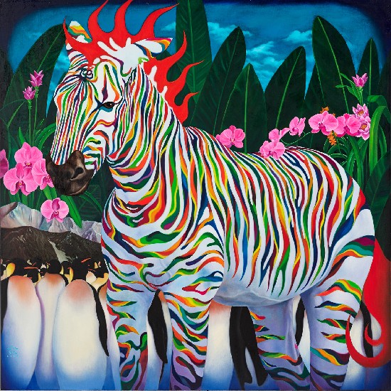 藏品:花花斑馬-熱帶南極的(1)張圖片