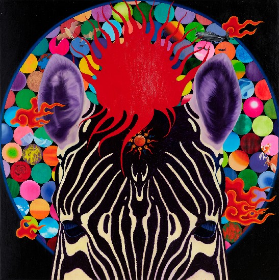 藏品:花花斑馬-神聖姿態的(1)張圖片