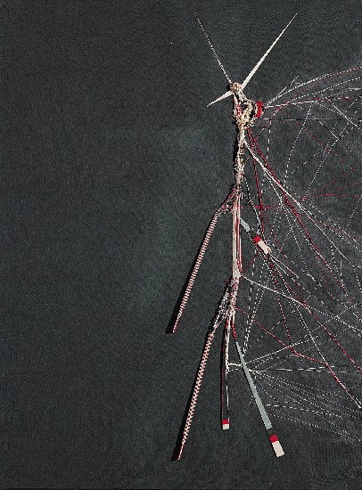 藏品:網路(二)的(1)張圖片