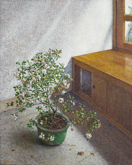 藏品:黃槴子花的(1)張圖片