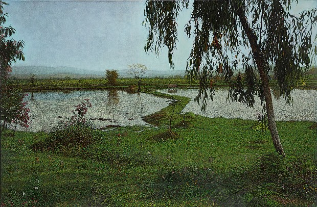 藏品:柳畦春曉的(1)張圖片