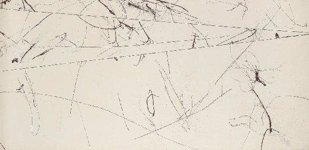 藏品:線與自然的(1)張圖片