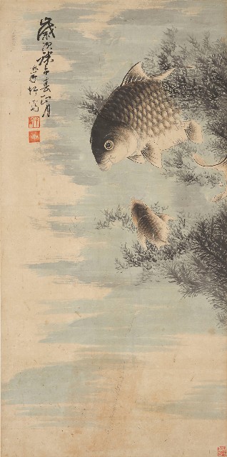 藏品:鯉魚的(1)張圖片
