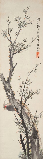 藏品:梅花綬帶的(1)張圖片