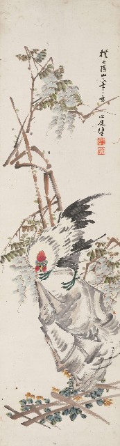 藏品:紫藤公雞的(1)張圖片