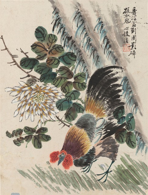藏品:菊雞的(1)張圖片