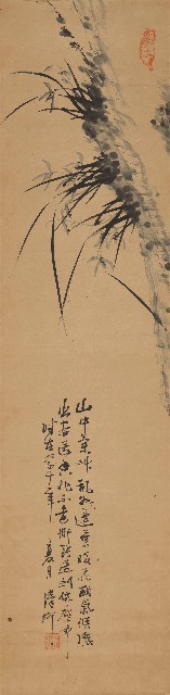 藏品:山谷幽蘭的(1)張圖片