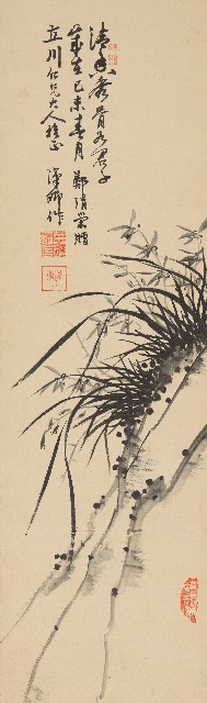 藏品:清香君子的(1)張圖片