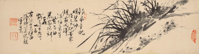 藏品:蘭的(1)張圖片