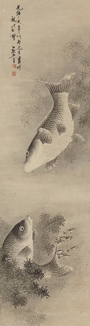 魚的焦點圖
