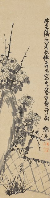 藏品:菊花的(1)張圖片