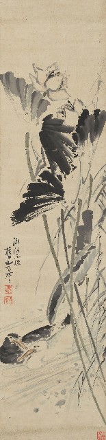 荷塘水鴨圖的焦點圖