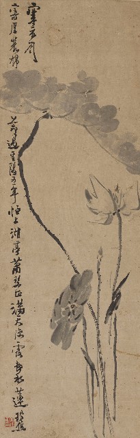 藏品:墨蓮的(1)張圖片