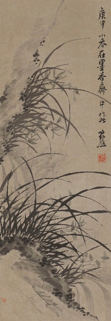 藏品:蘭花的(1)張圖片