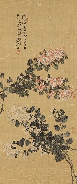 藏品:菊花的(1)張圖片