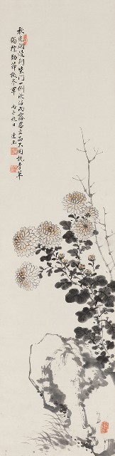藏品:菊石圖的(1)張圖片