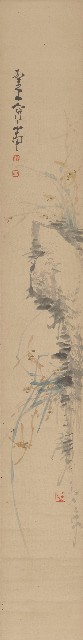 藏品:蘭竹的(2)張圖片