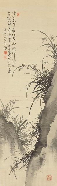 藏品:蘭的(1)張圖片