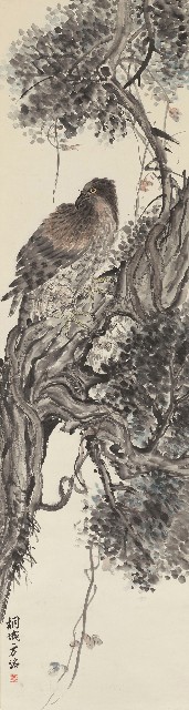 藏品:鷹的(1)張圖片