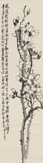 藏品:玉蘭的(1)張圖片