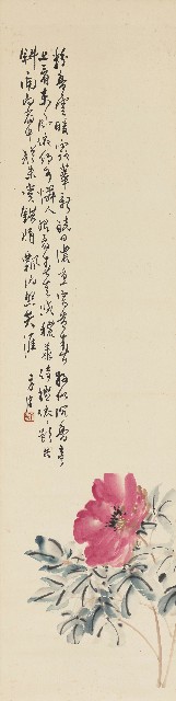 藏品:牡丹的(1)張圖片