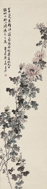 藏品:秋菊的(1)張圖片