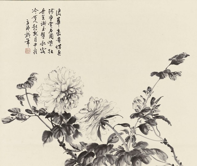 藏品:墨牡丹的(1)張圖片