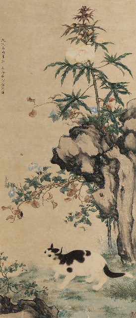 擬沈南蘋筆法花貓的焦點圖
