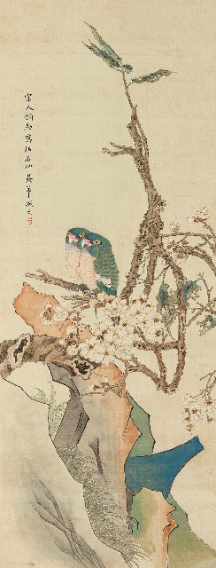 藏品:鸚鵡的(1)張圖片