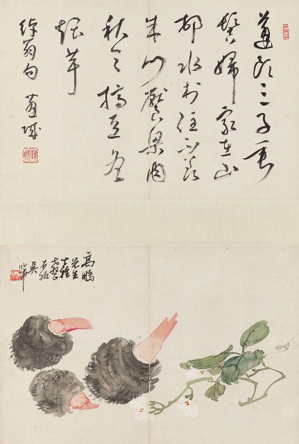 藏品:芋的(1)張圖片