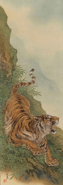 藏品:虎的(1)張圖片