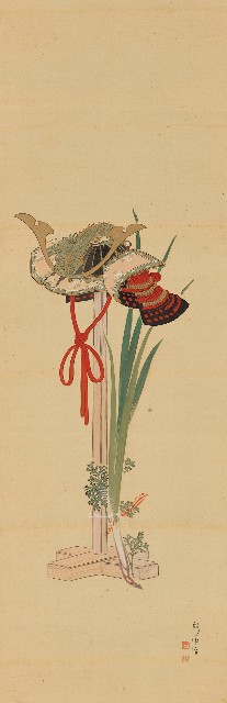 藏品:菖蒲的(1)張圖片