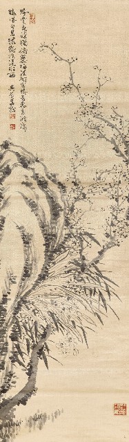 梅花水仙的焦點圖