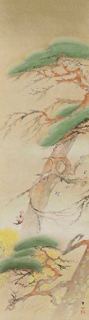 藏品:松的(1)張圖片