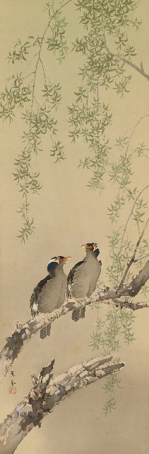 藏品:春柳九官鳥的(1)張圖片