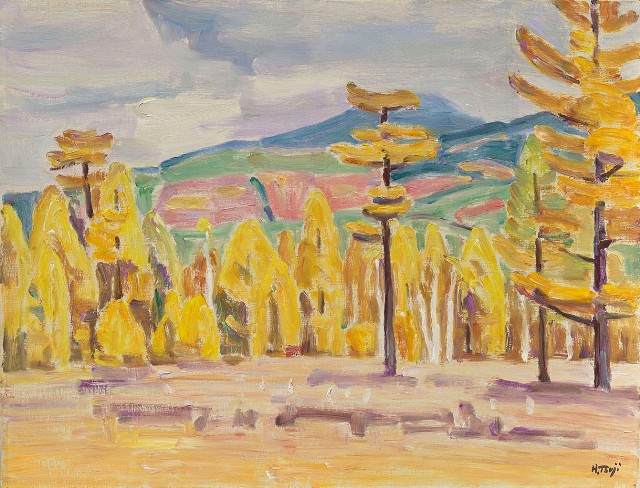 藏品:森林的(1)張圖片