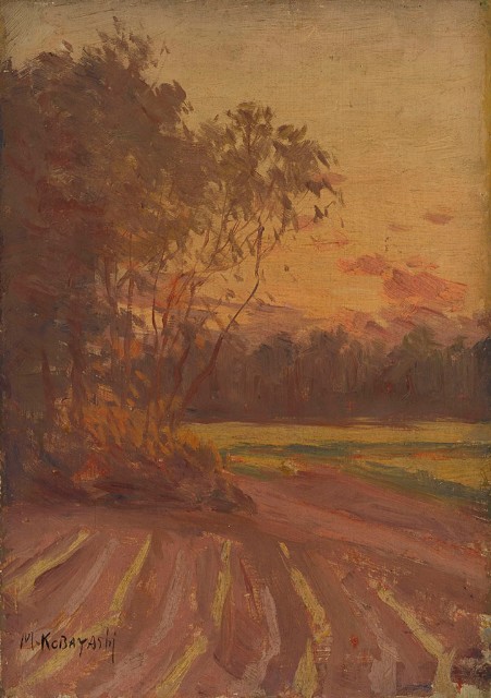 藏品:夕陽風景的(1)張圖片