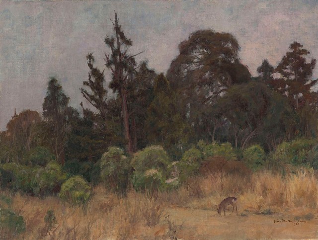 藏品:鹿的(1)張圖片