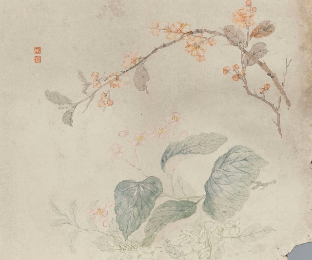 藏品:花卉冊八開的(5)張圖片