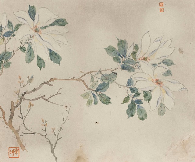 藏品:花卉冊八開的(6)張圖片